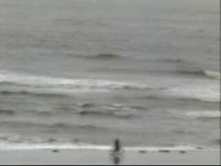 Holden Beach, NC Webcam Recording of Irene (2011) Approach