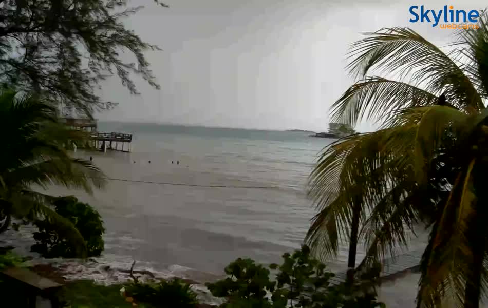 Sandy Bay, Guanaja Honduras Webcam Recording Earl Approach (2016)