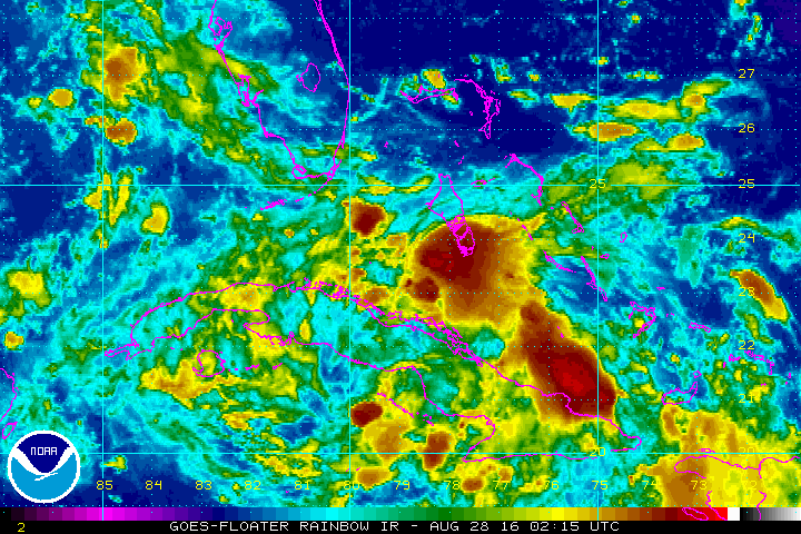 Floatring Recording for 99L (Aug 2016)