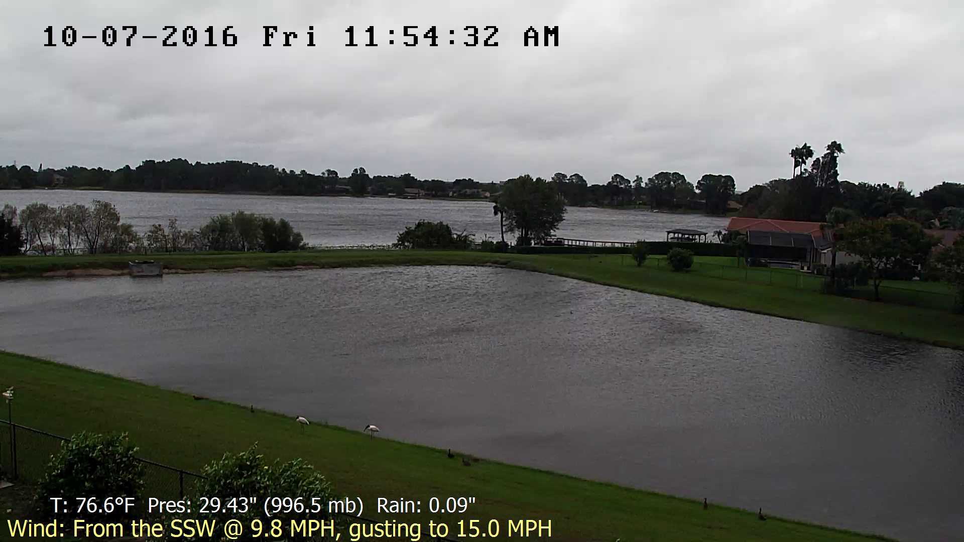 Flhurricane Orlando Lake Marsha Cam recording approach of Matthew (2016)