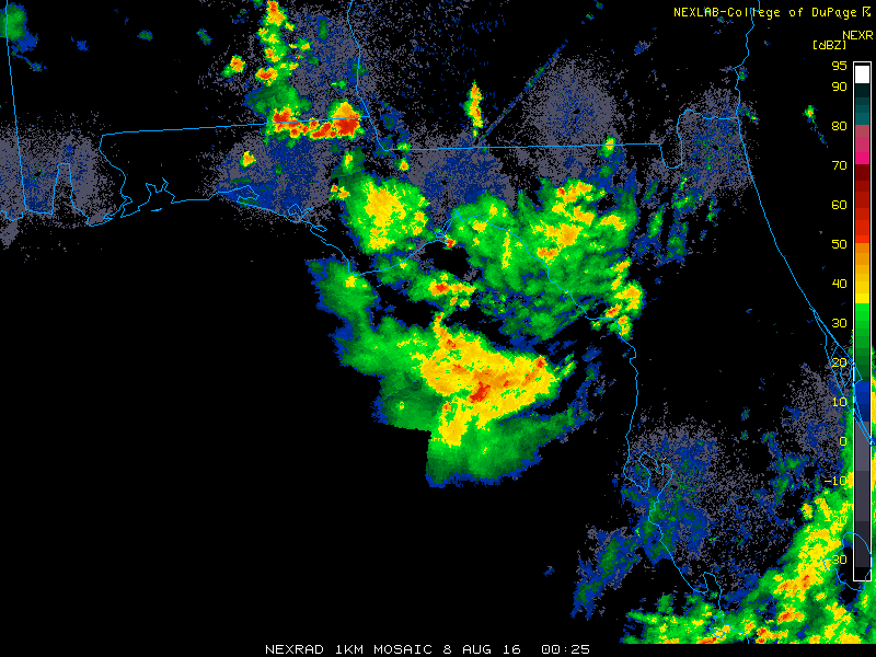 Florida Panel Radar Recording for Gulf (Aug 2016) System