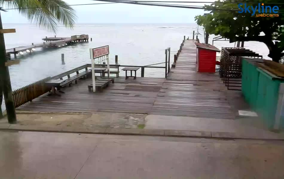 RoatÃ¡n Honduras Webcam Recording Earl Approach (2016)