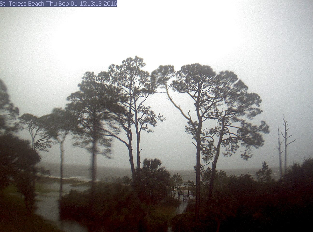 St Teresa Beach Cam recording approach of Hermine (2016)