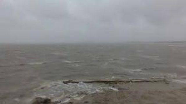 Hurricanetrack.com Mark Sudduth Corpus/Oso Bay Cam 1 Harvey (2017)