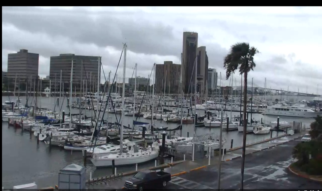 Corpus Lawrence T. Head Marina Webcam Harvey (2017)