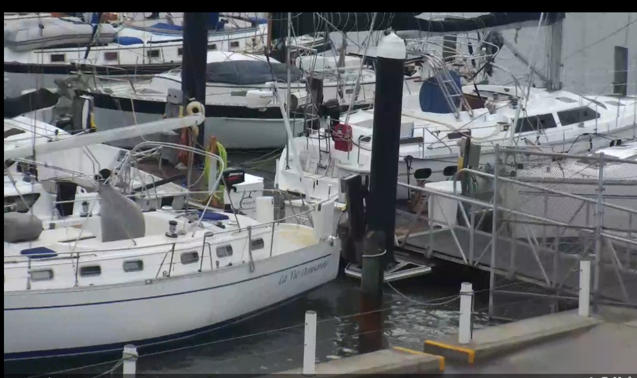 Corpus Lawrence T. Head Marina Webcam Harvey (2017)