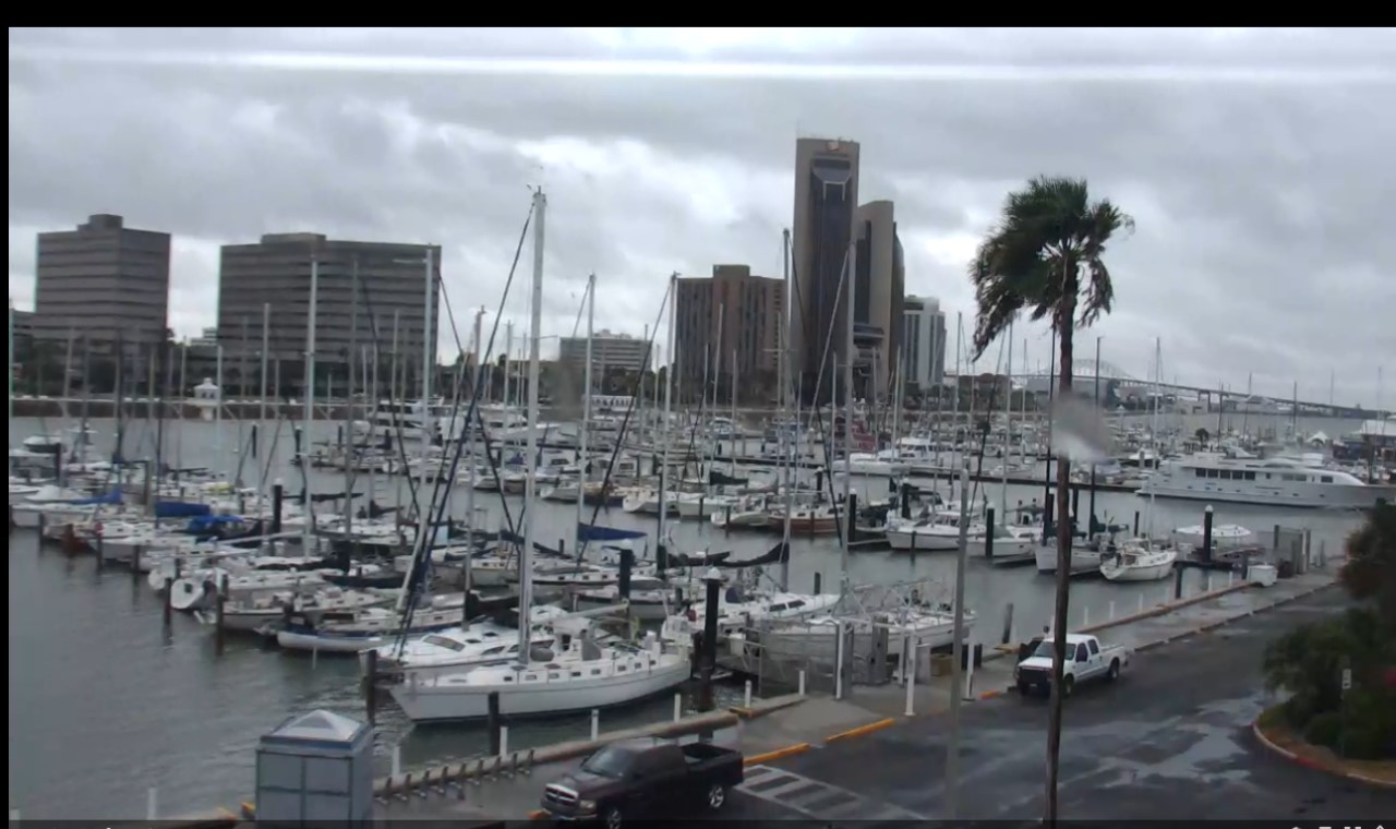 Corpus Lawrence T. Head Marina Webcam Harvey (2017)
