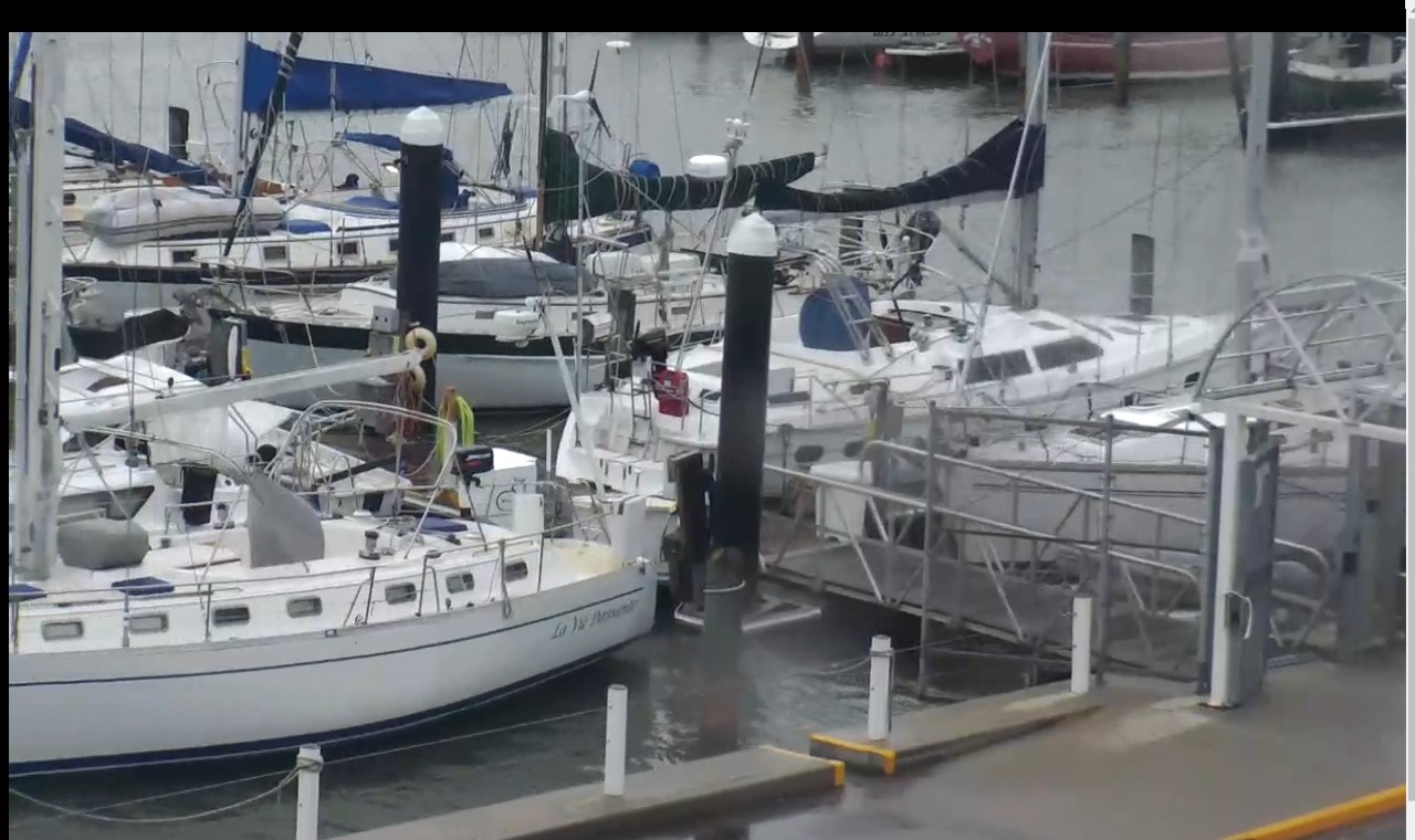 Corpus Lawrence T. Head Marina Webcam Harvey (2017)