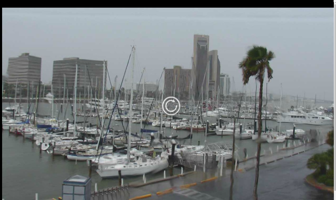 Corpus Lawrence T. Head Marina Webcam Harvey (2017)