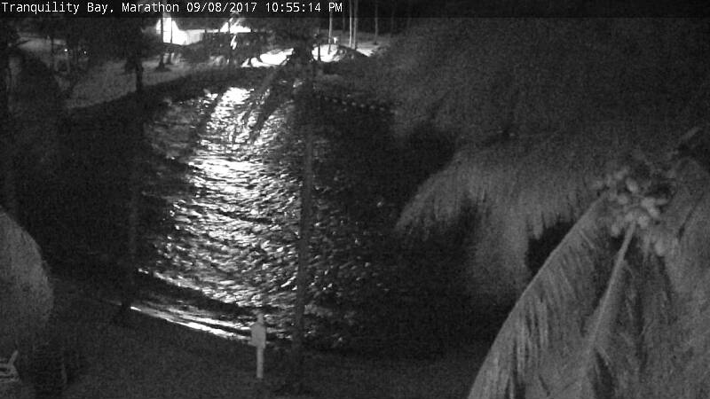 Tranquility Bay Cam  Irma (2017)