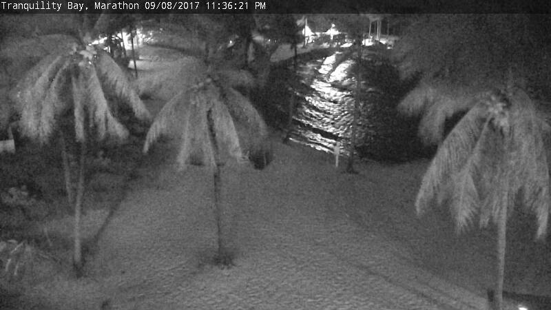 Tranquility Bay Cam  Irma (2017)