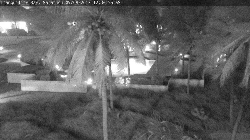 Tranquility Bay Cam  Irma (2017)
