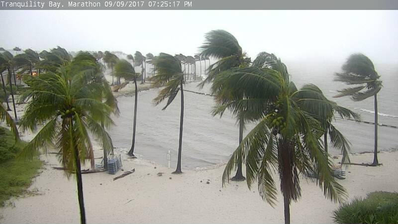 Tranquility Bay Cam  Irma (2017)