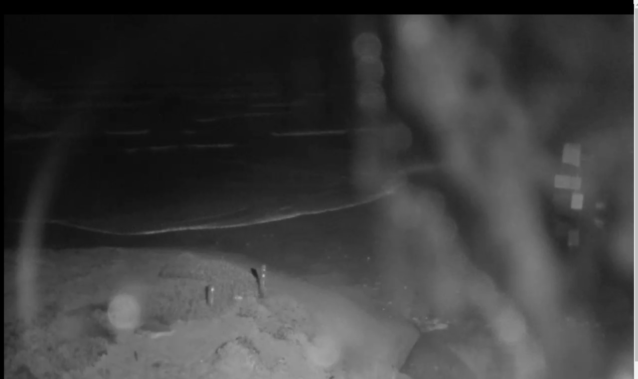Corpus Whitecap Beach Webcam Harvey (2017)