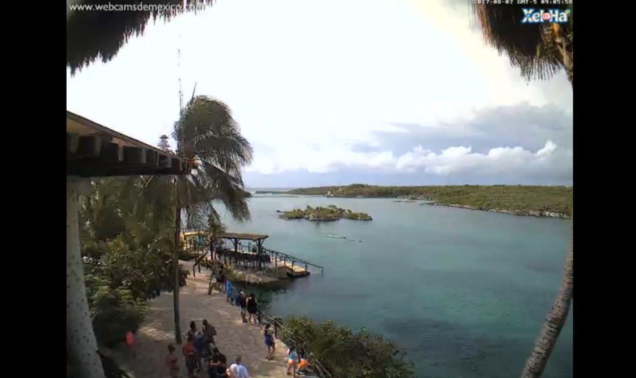 Xel Ha Mexico Webcam Franklin (2017)