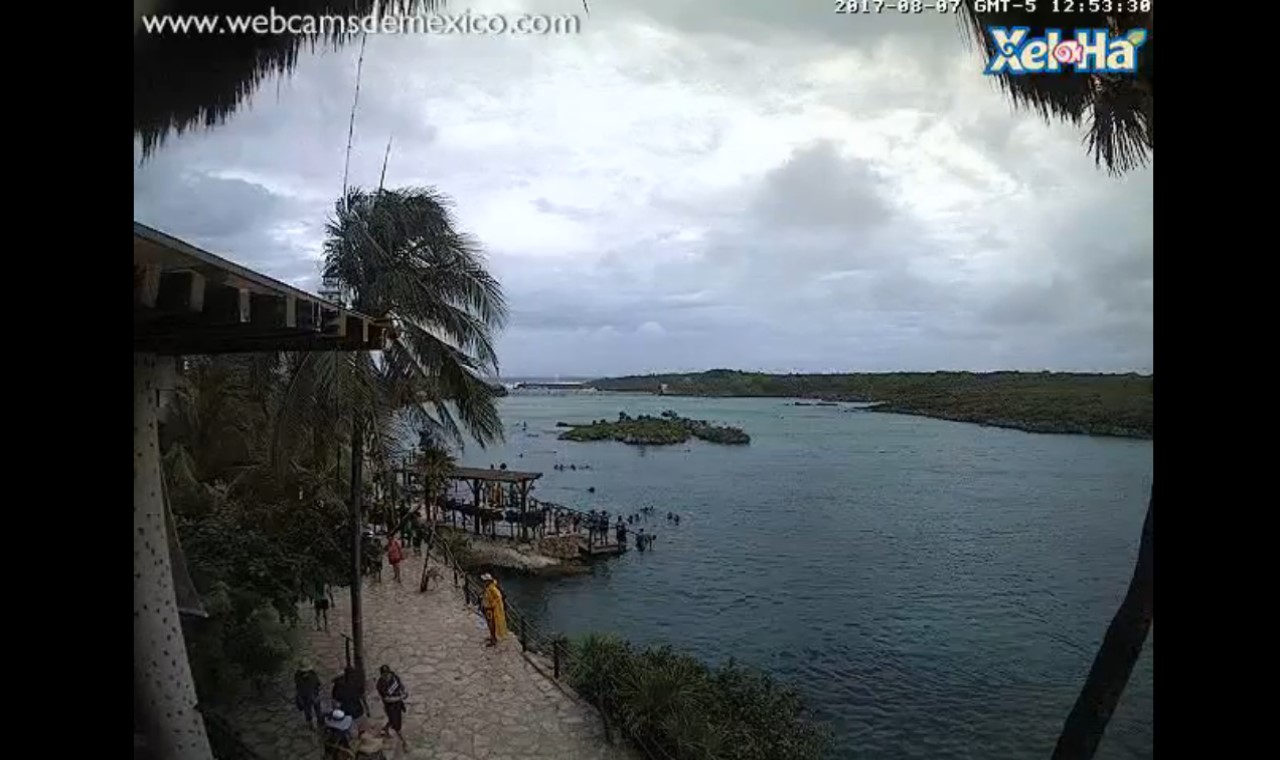 Xel Ha Mexico Webcam Franklin (2017)