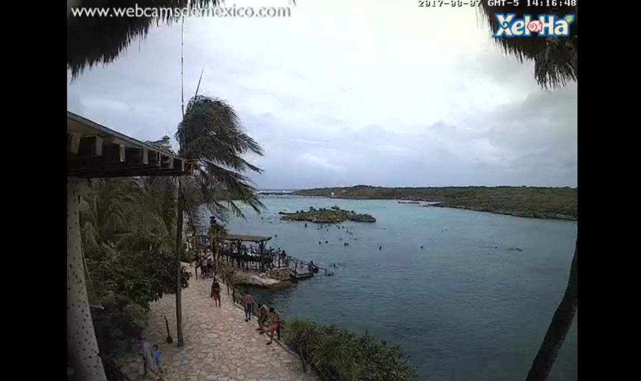Xel Ha Mexico Webcam Franklin (2017)