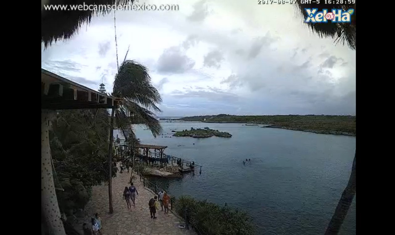 Xel Ha Mexico Webcam Franklin (2017) Xel Ha Mexico Webcam Franklin (2017)