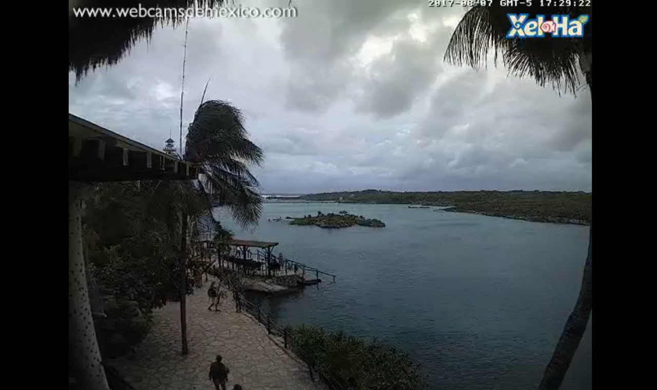 Xel Ha Mexico Webcam Franklin (2017)