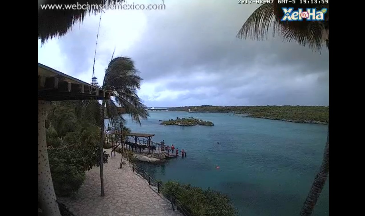 Xel Ha Mexico Webcam Franklin (2017)