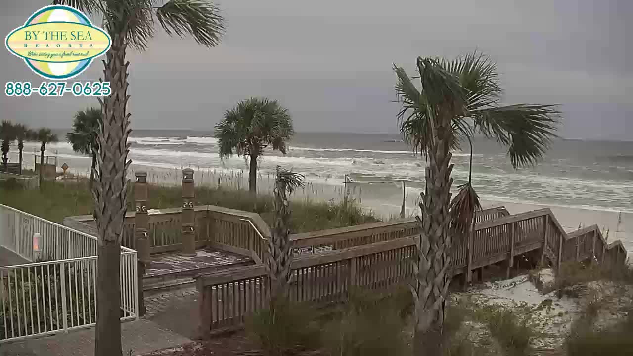 Barefoot on the Beach Bar & Grill PCB Michael (2018)