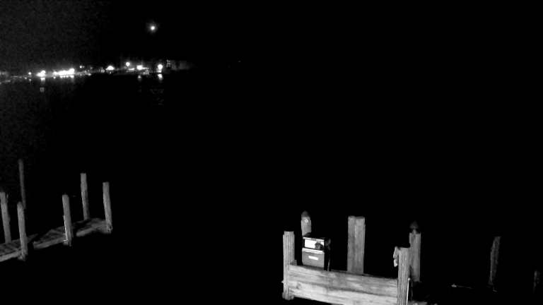 Carrabelle Florida Cam Michael (2018)