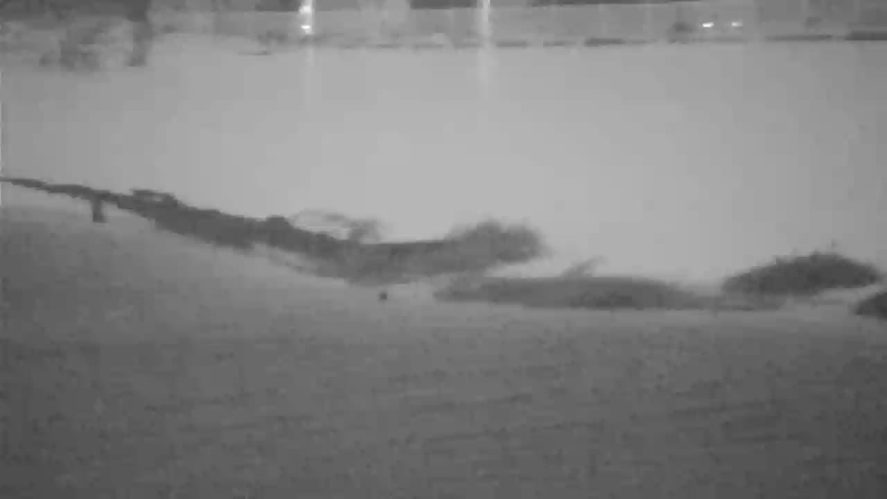 Destin Harbor Cam 2 Michael (2018)