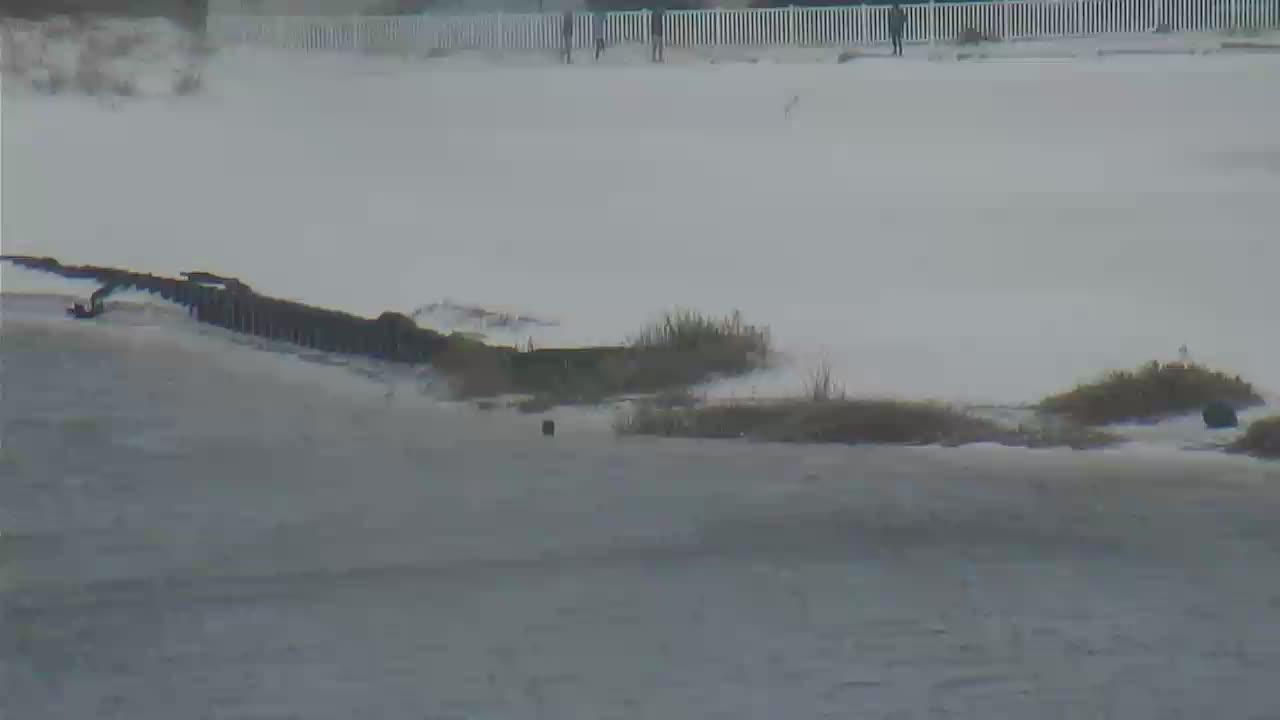 Destin Harbor Cam 2 Michael (2018)