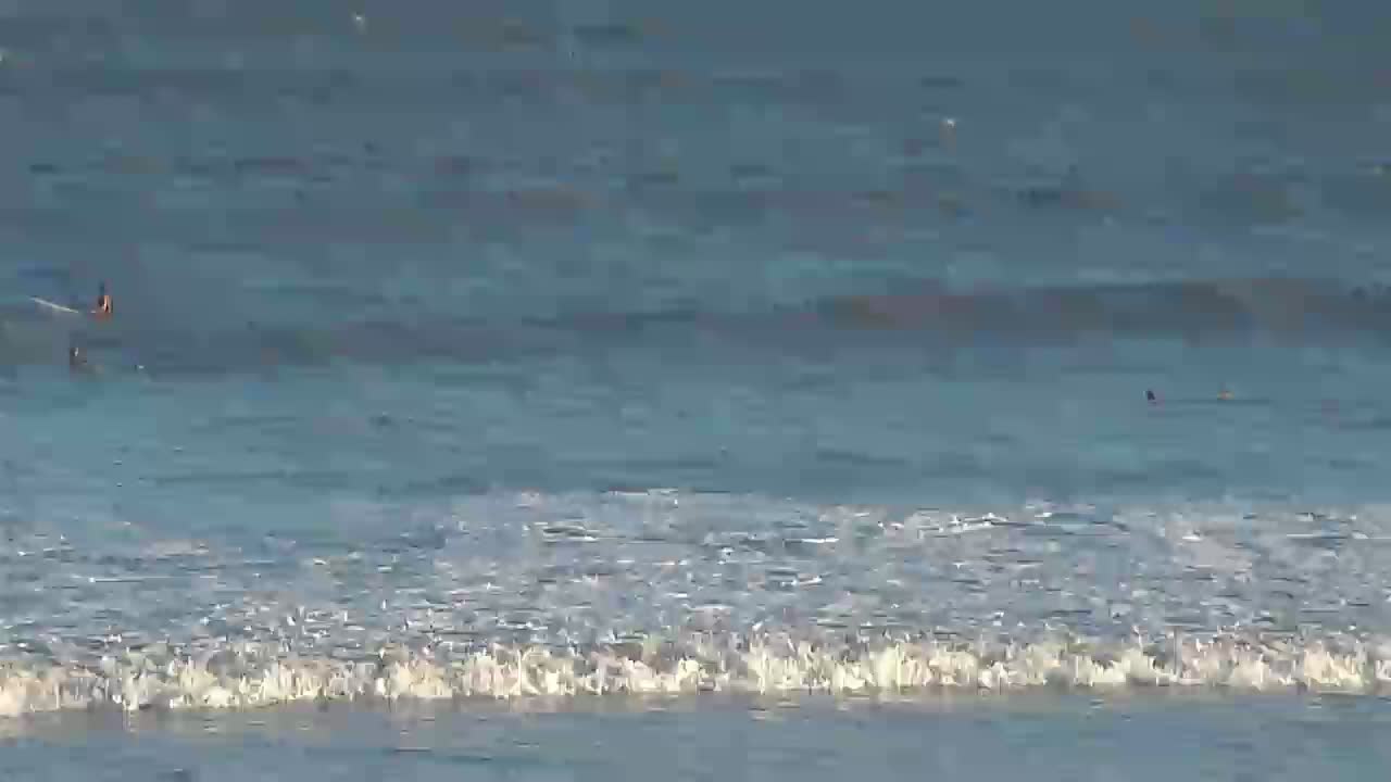 Surfchex Folly Beach Cam for Florence Approach (2018)