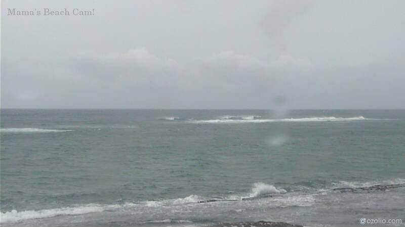 Maui Mamas Fish House Lane Approach (2018)