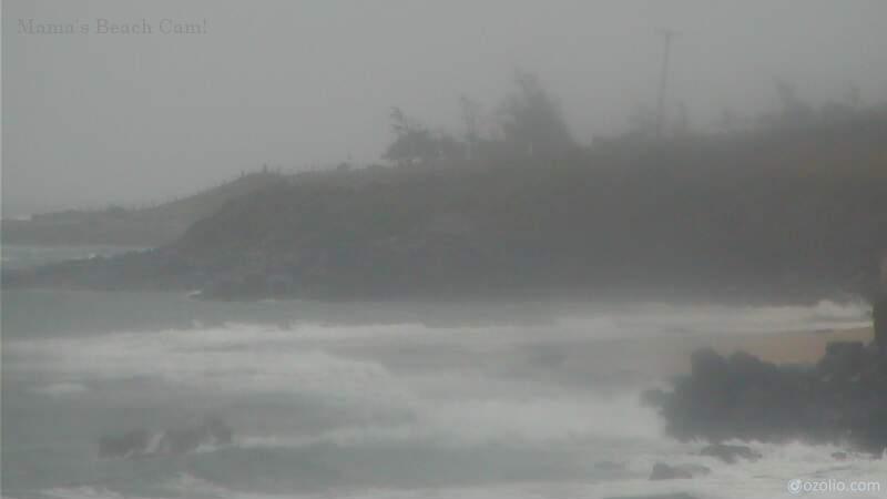 Maui Mamas Fish House Lane Approach (2018)