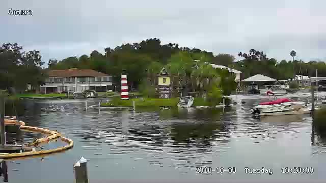 Homosassa, FL Monkey Island Cam Michael (2018)
