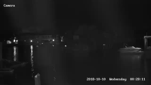 Homosassa, FL Monkey Island Cam Michael (2018)