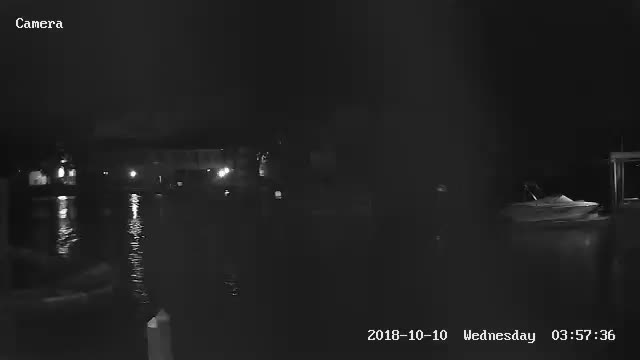 Homosassa, FL Monkey Island Cam Michael (2018)