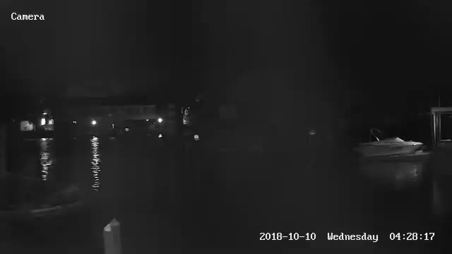 Homosassa, FL Monkey Island Cam Michael (2018)