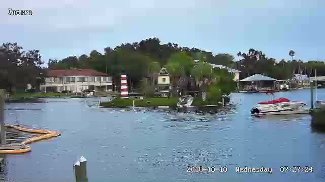 Homosassa, FL Monkey Island Cam Michael (2018)