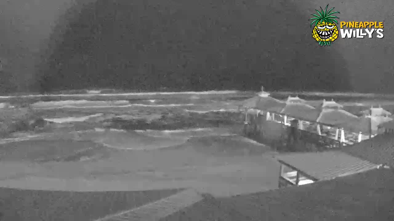 Pineapple Willy's Restaurant Pier PCB Cam 2 Michael (2018)