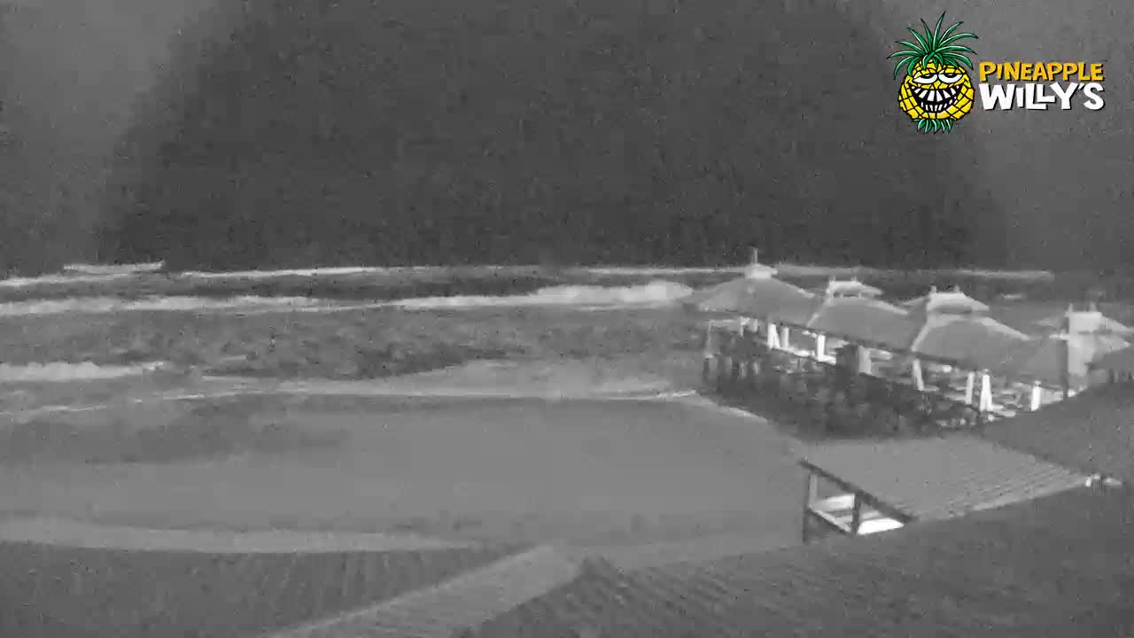 Pineapple Willy's Restaurant Pier PCB Cam 2 Michael (2018)