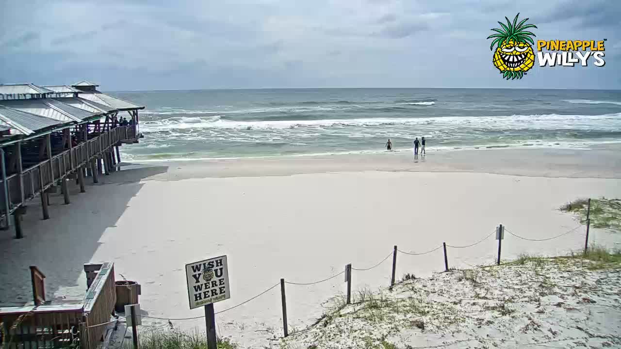 Pineapple Willy's Restaurant PCB Cam Michael (2018)