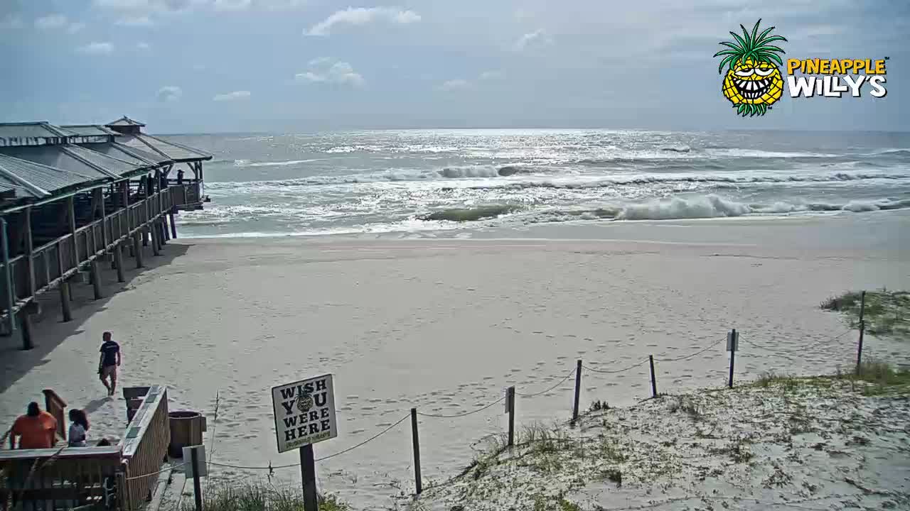 Pineapple Willy's Restaurant PCB Cam Michael (2018)