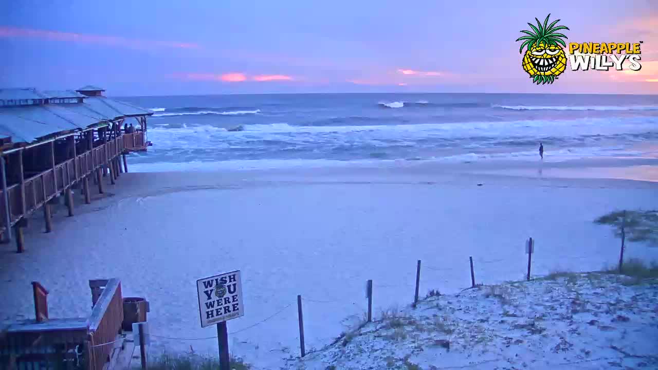 Pineapple Willy's Restaurant PCB Cam Michael (2018)