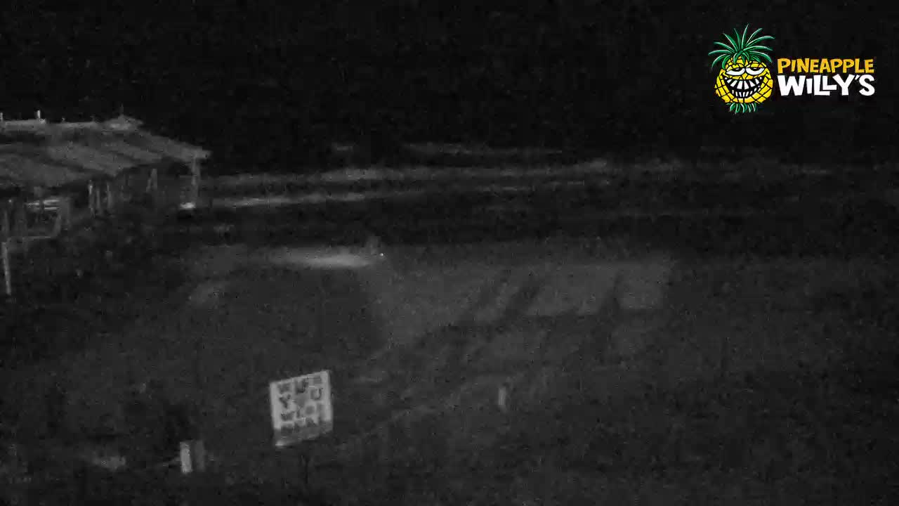 Pineapple Willy's Restaurant PCB Cam Michael (2018)