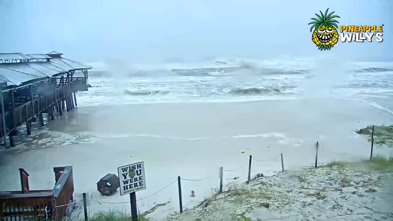Pineapple Willy's Restaurant PCB Cam Michael (2018)