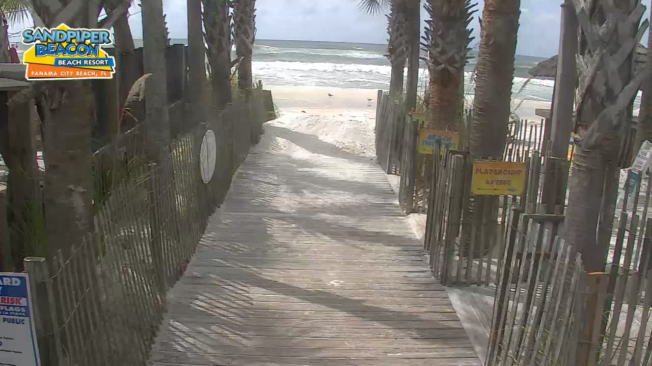 Sandpier Beacon Beach Resort Cam, PCB Michael (2018)