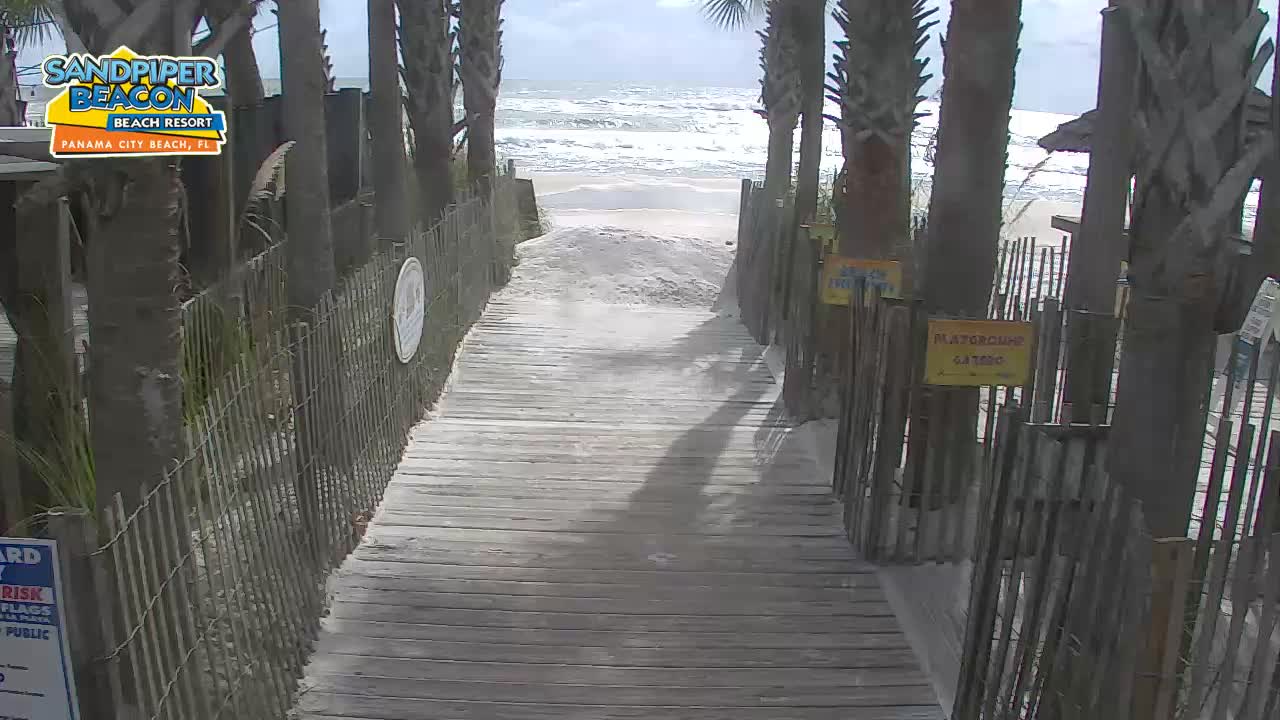 Sandpier Beacon Beach Resort Cam, PCB Michael (2018)