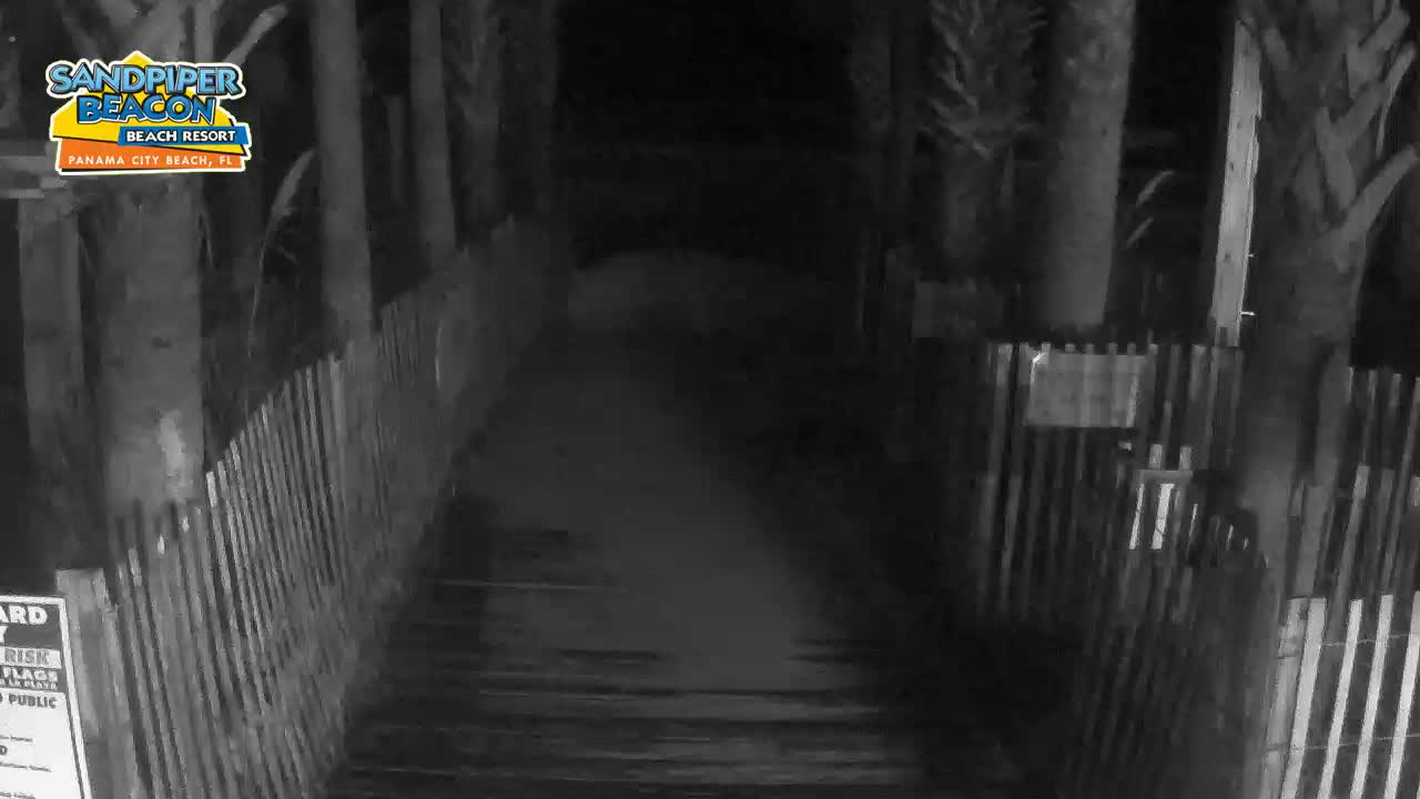 Sandpier Beacon Beach Resort Cam, PCB Michael (2018)