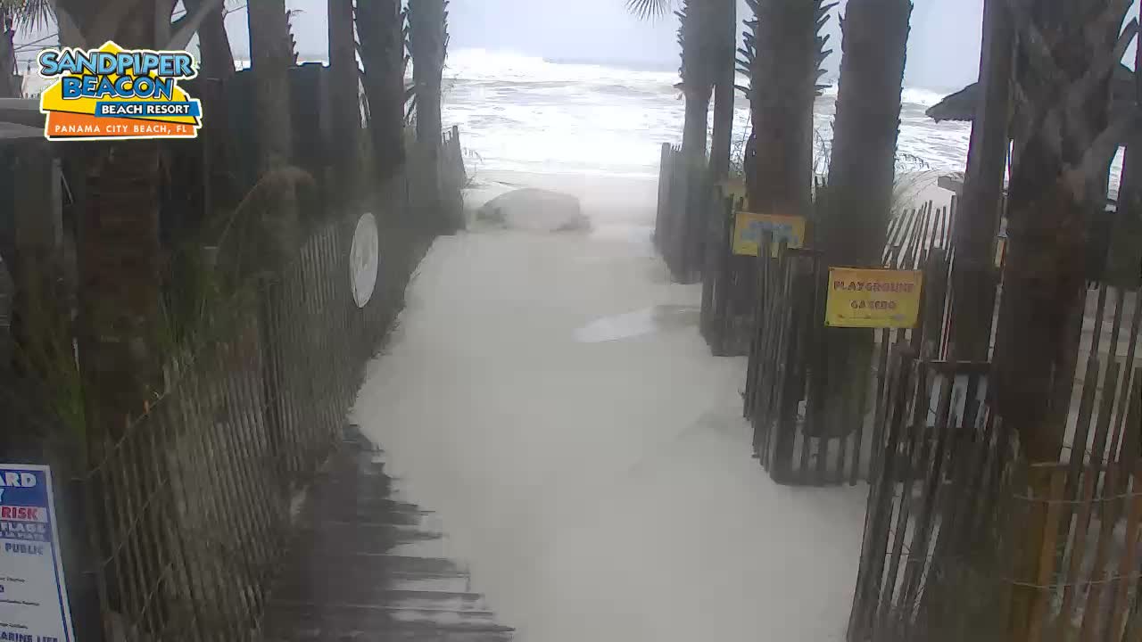 Sandpier Beacon Beach Resort Cam, PCB Michael (2018)