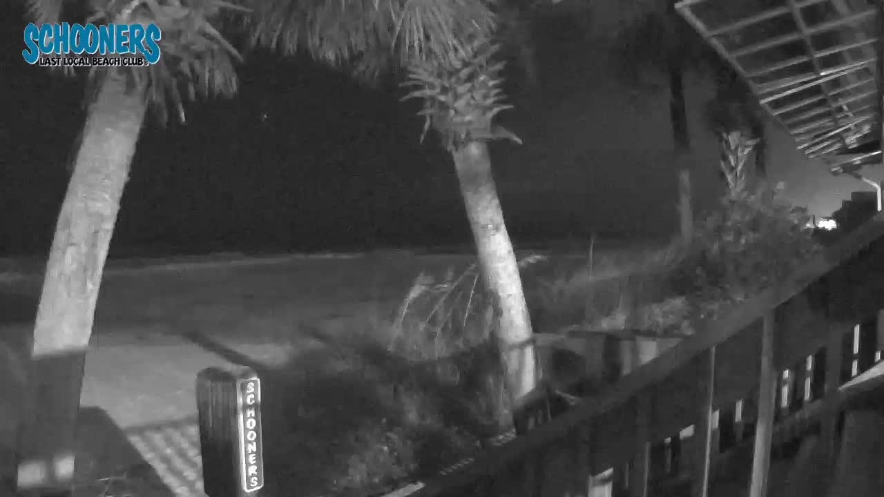 Schooners Beach Club PCB Cam Michael (2018)