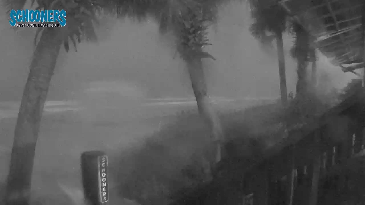 Schooners Beach Club PCB Cam Michael (2018)