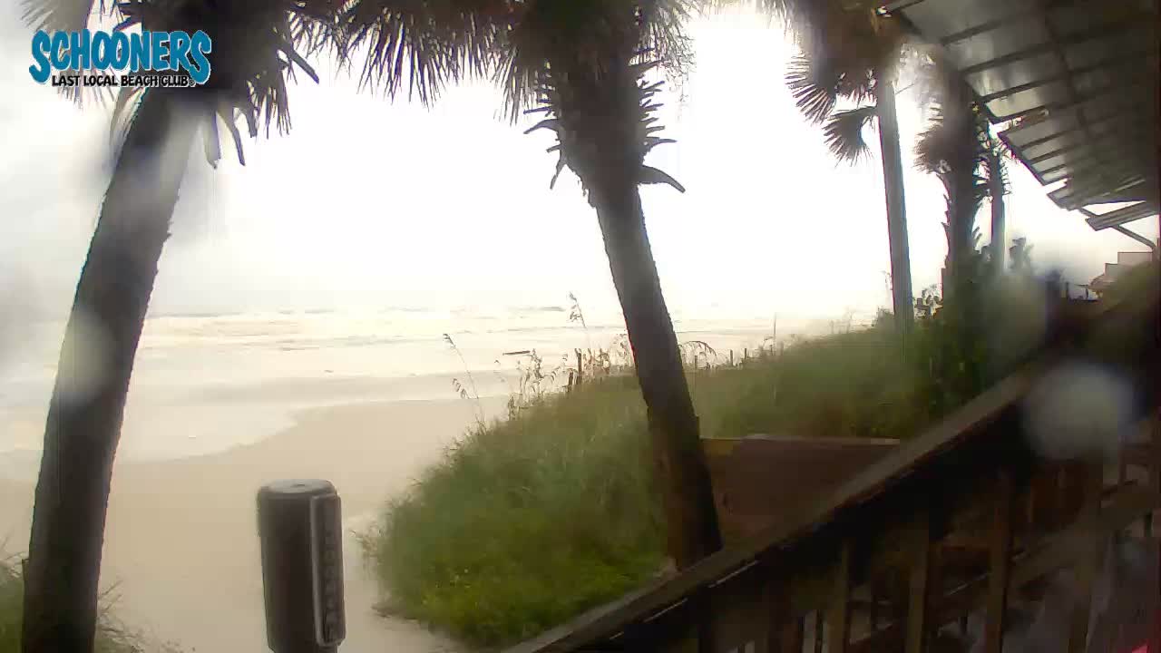 Schooners Beach Club PCB Cam Michael (2018)